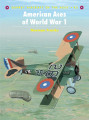 American Aces of World War I