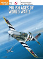 Polish Aces of World War 2